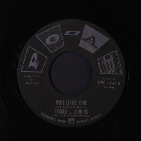 CEASER L. JENKINS & GROUP