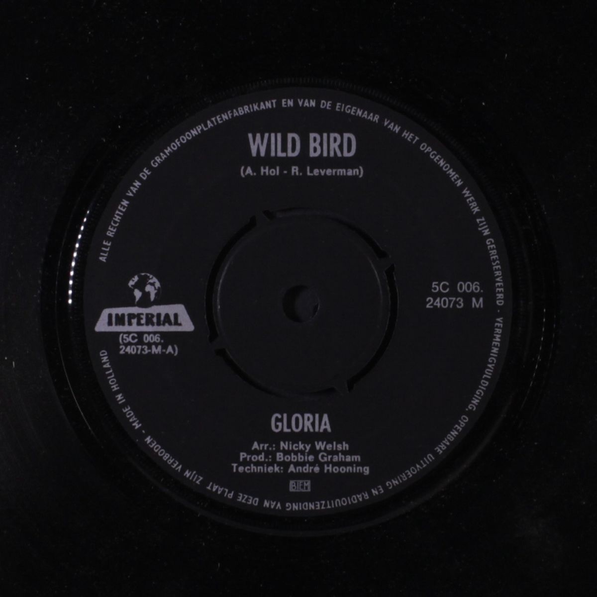 wild bird / to make my father proud by GLORIA