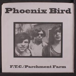 PHOENIX BIRD