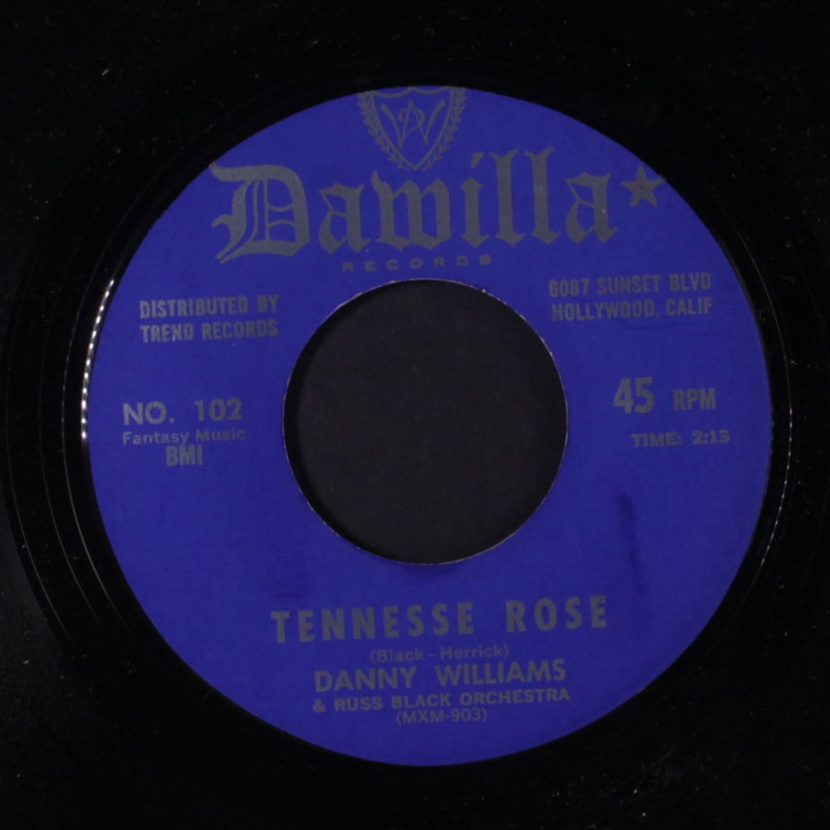 dreamer / tennessee rose by DANNY WILLIAMS
