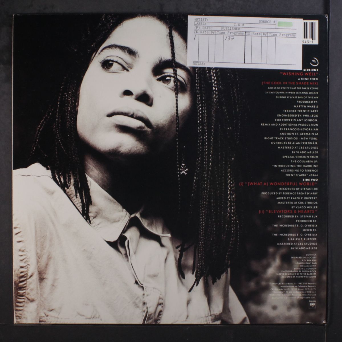 wishing well (cool in the shade mix) by TERENCE TRENT D'ARBY