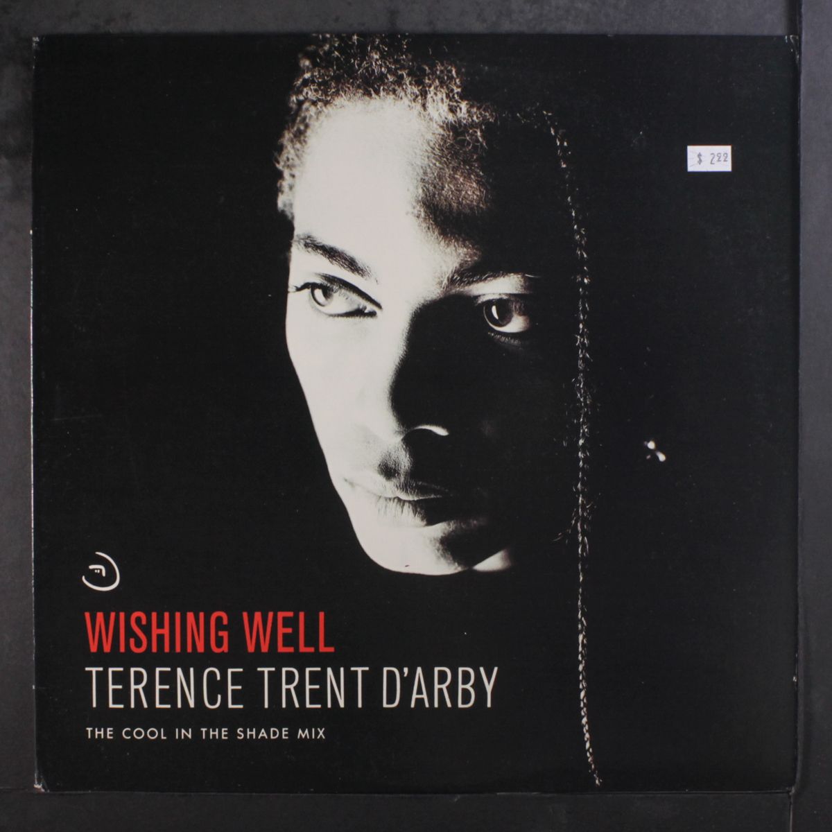 wishing well (cool in the shade mix) by TERENCE TRENT D'ARBY