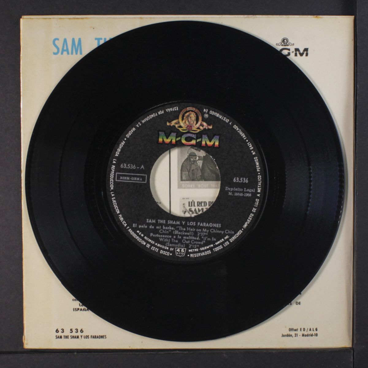 the hair on my chinny chin chin + 3 by SAM THE SHAM & PHARAOHS