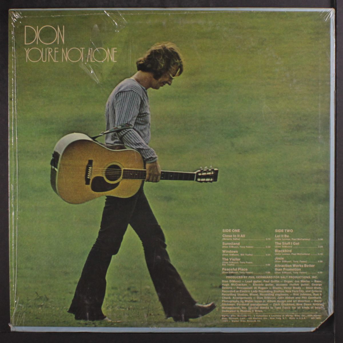 you're not alone by DION