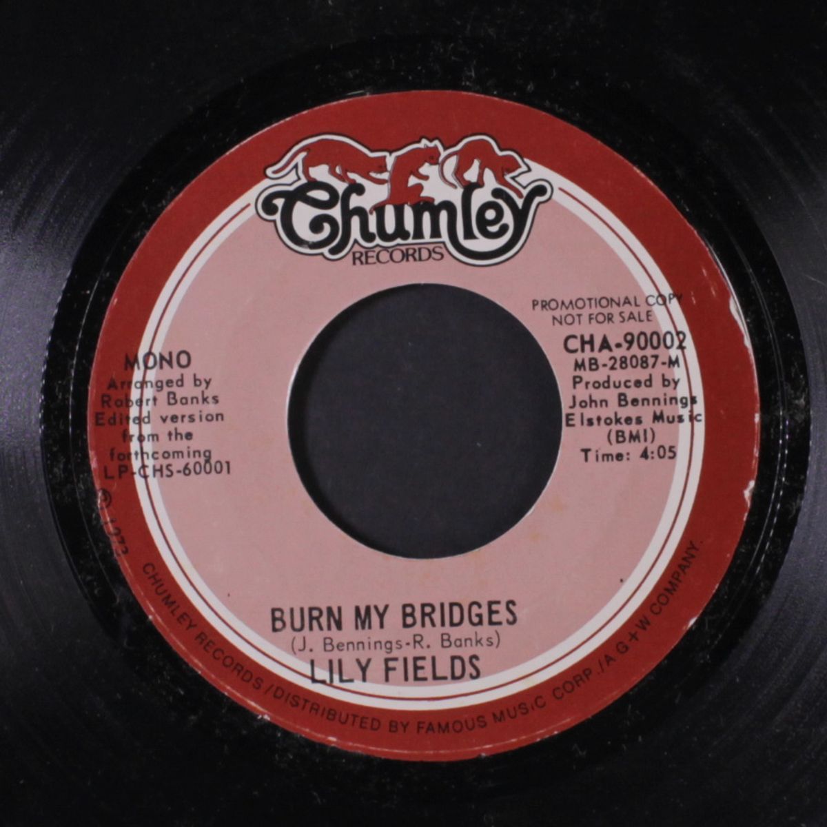 burn my bridges / mono by LILY FIELDS