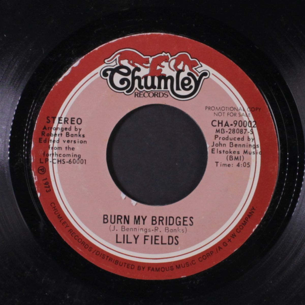 burn my bridges / mono by LILY FIELDS