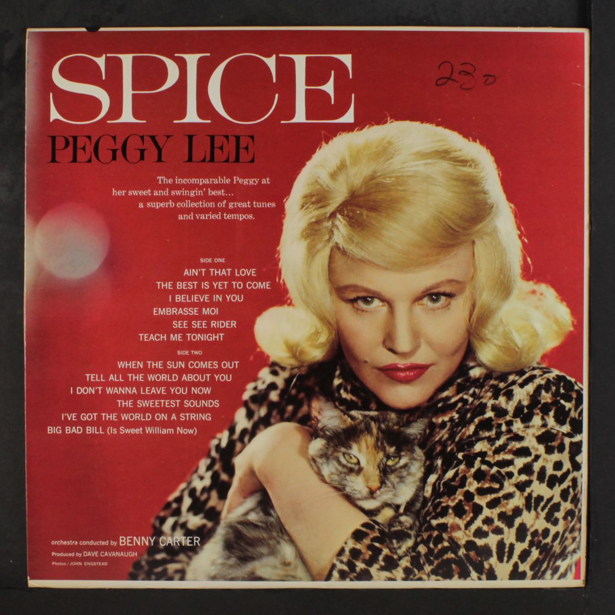 sugar 'n' spice by PEGGY LEE