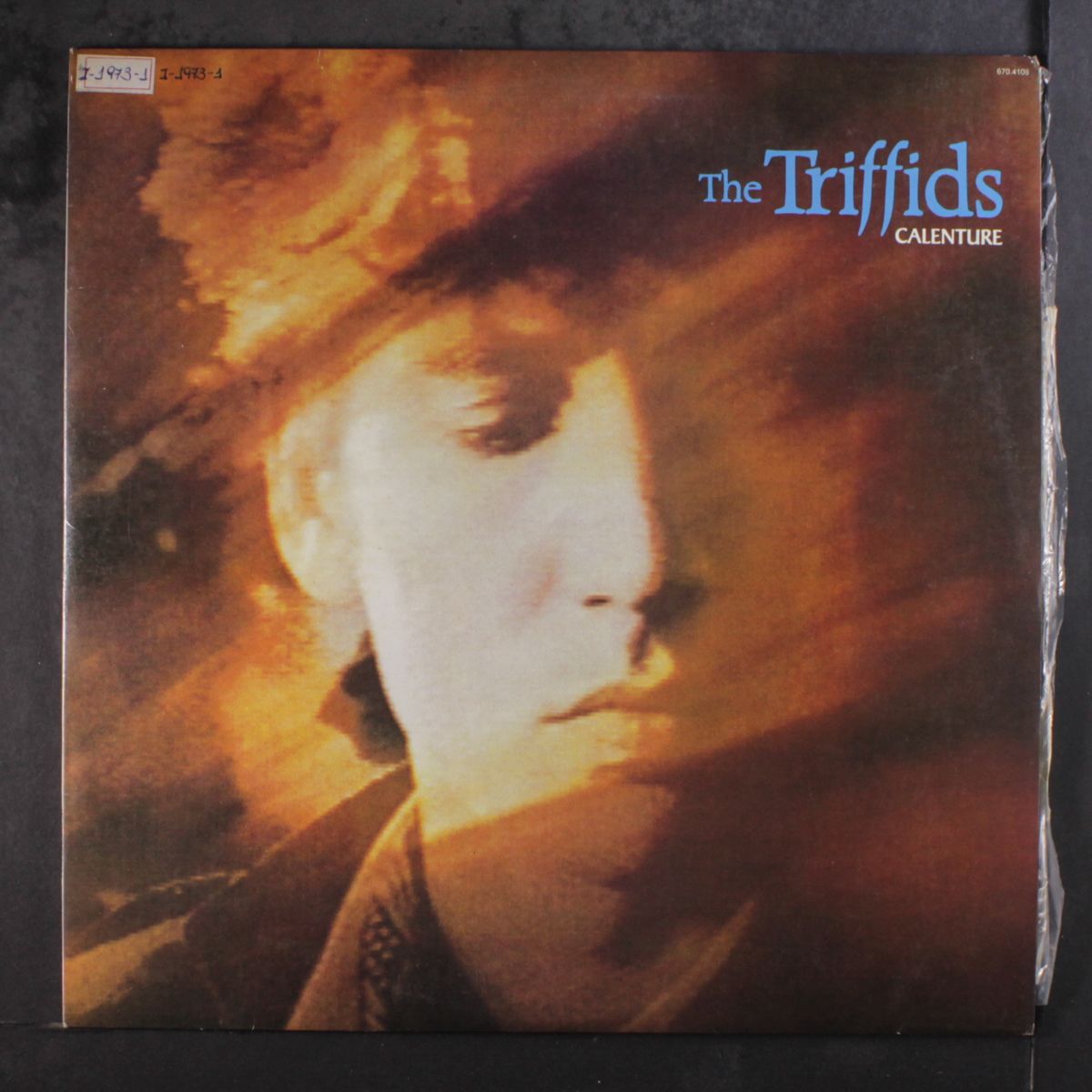calenture by TRIFFIDS