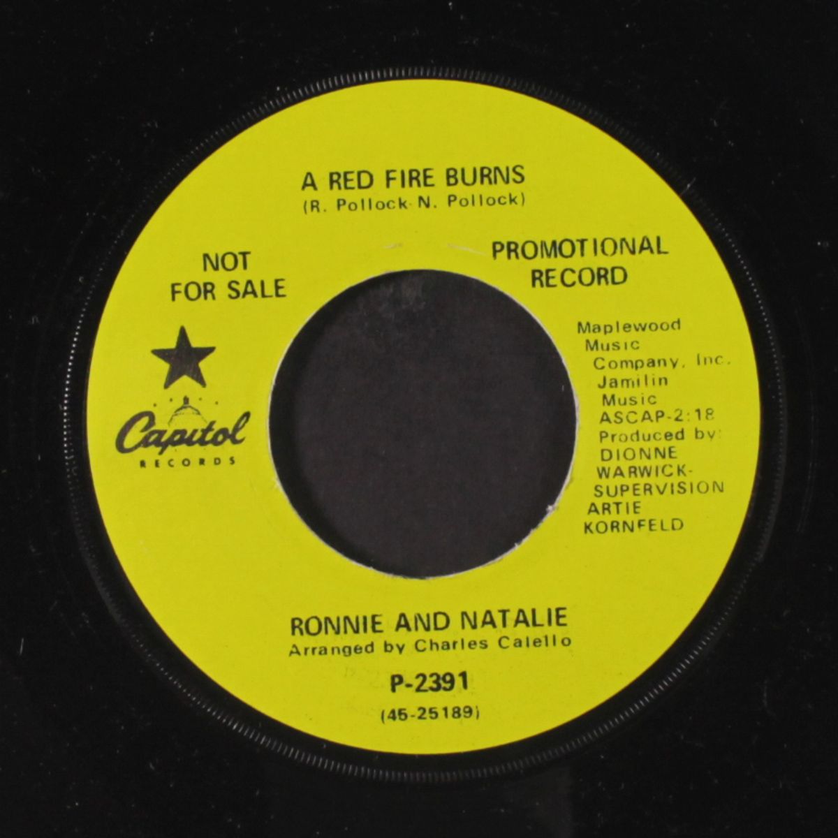 a red fire burns / the destruction of dawn street by RONNIE & NATALIE