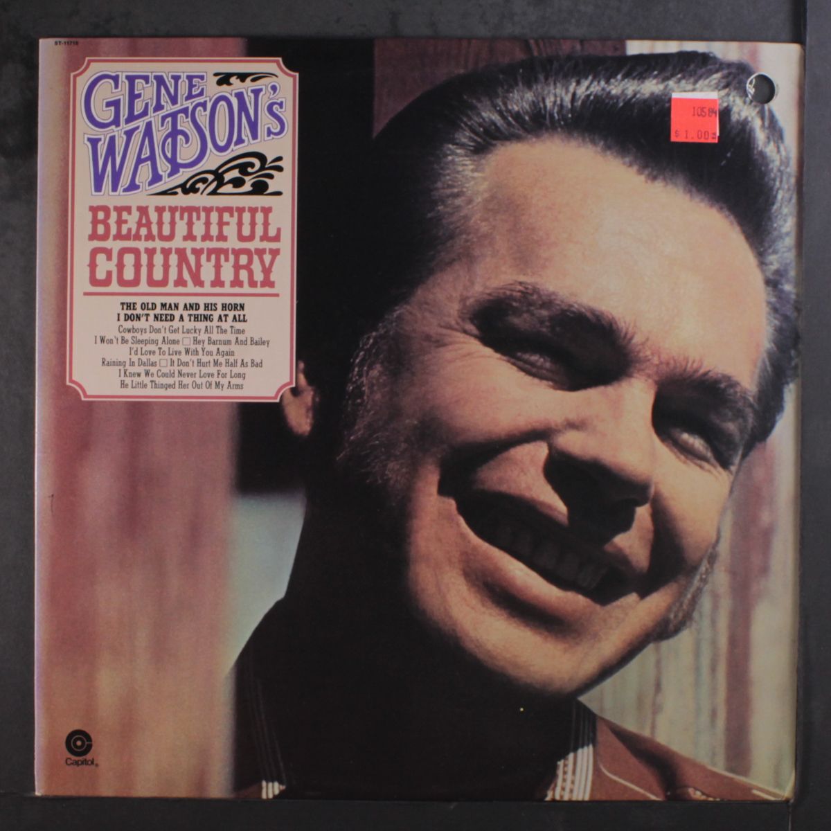 beautiful country by GENE WATSON