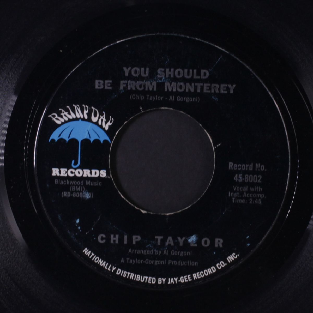 you should be from monterey by CHIP TAYLOR