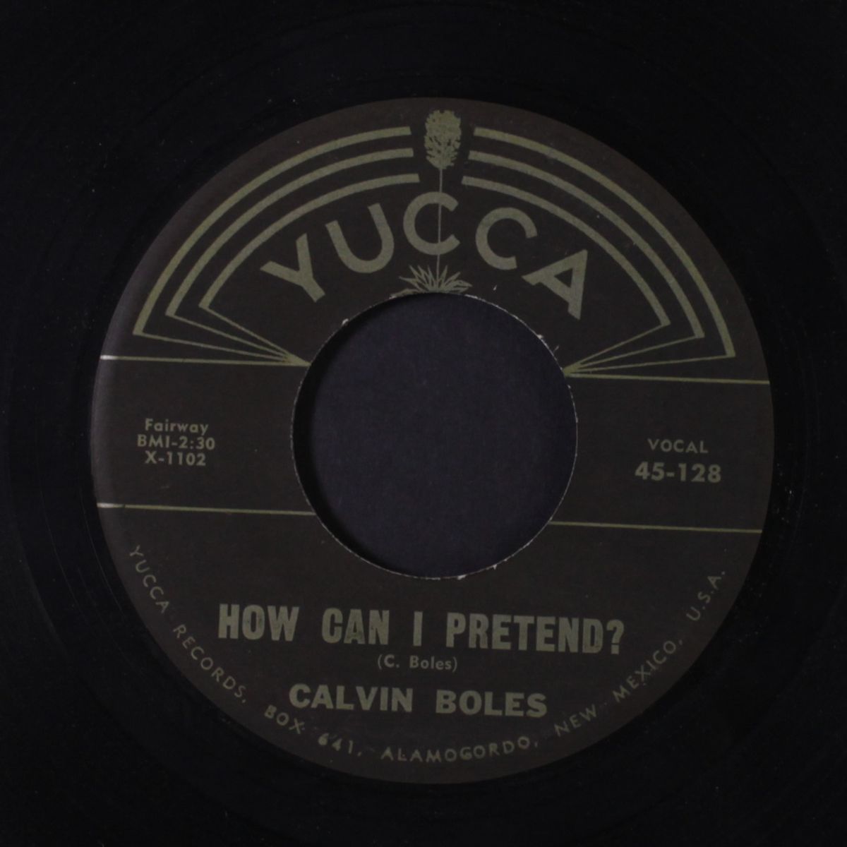i'm sorry for you / how can i pretend? by CALVIN BOLES