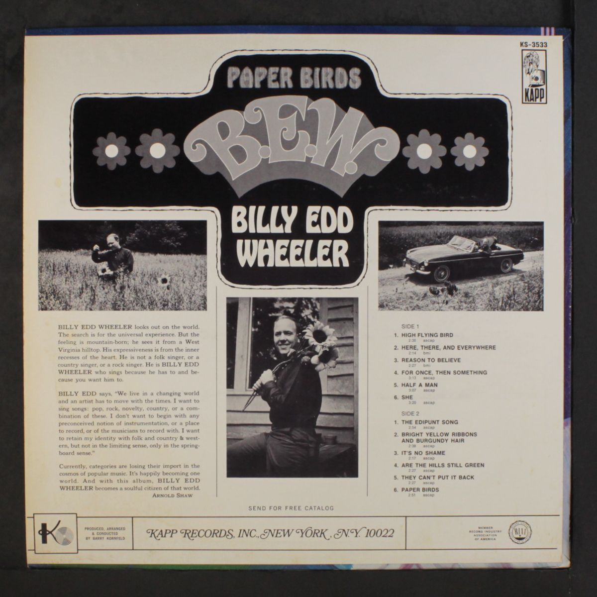 paper birds / b.e.w. by BILLY EDD WHEELER