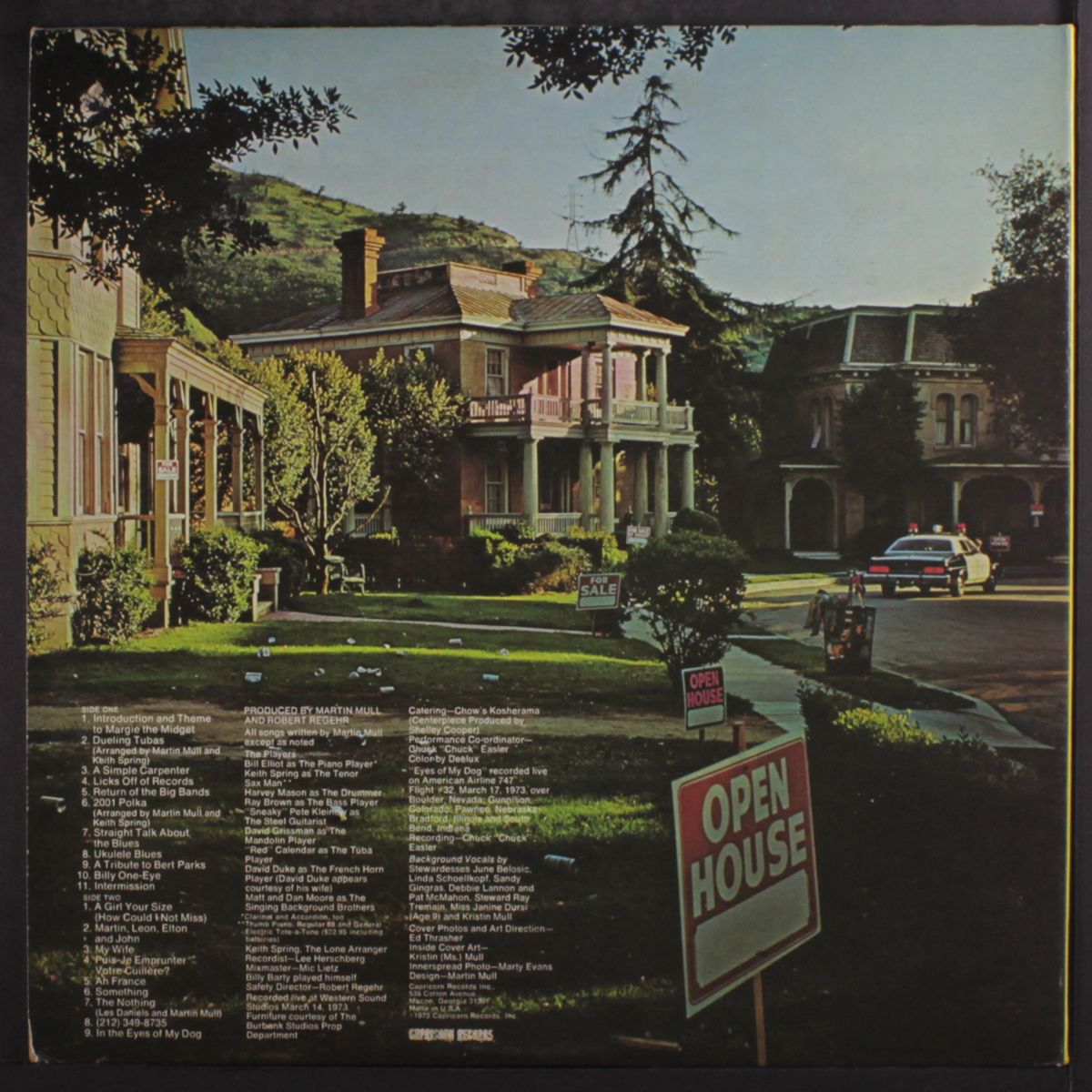 in your living room by MARTIN MULL