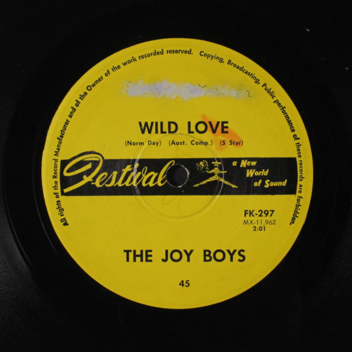wild love by JOY BOYS