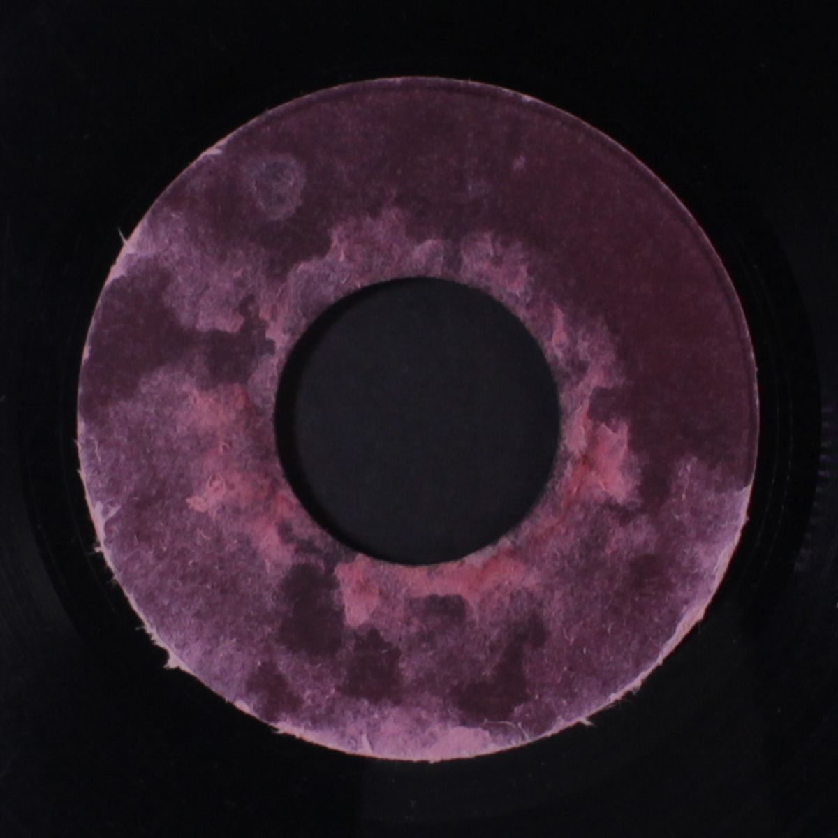 riddle i this / musical chariot by SCOTTY