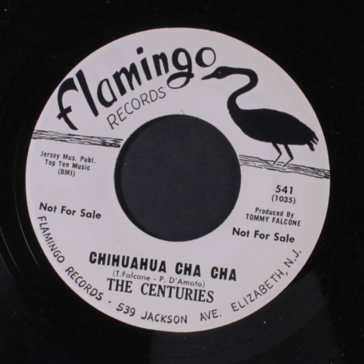 you're a dirty robber / chihuahua cha cha by CENTURIES