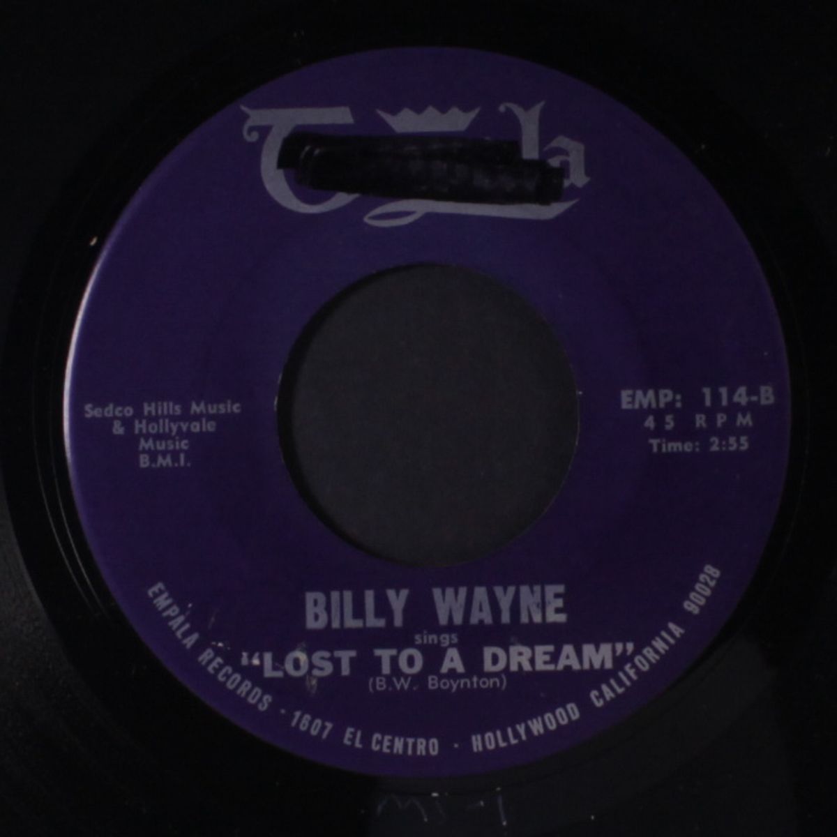 lost to a dream by BILLY WAYNE