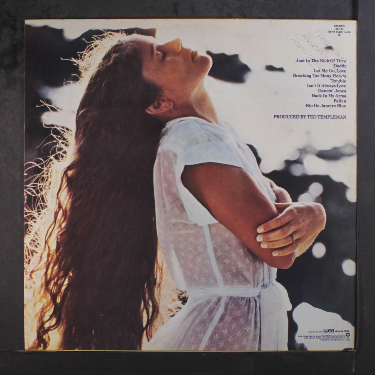 in the nick of time by NICOLETTE LARSON