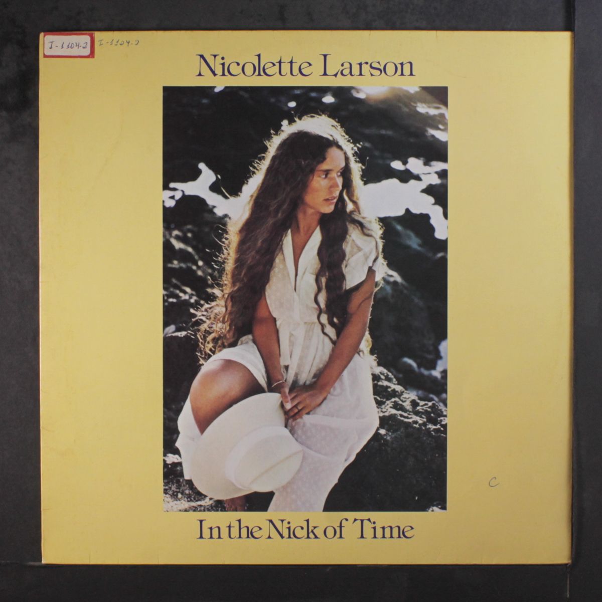 in the nick of time by NICOLETTE LARSON