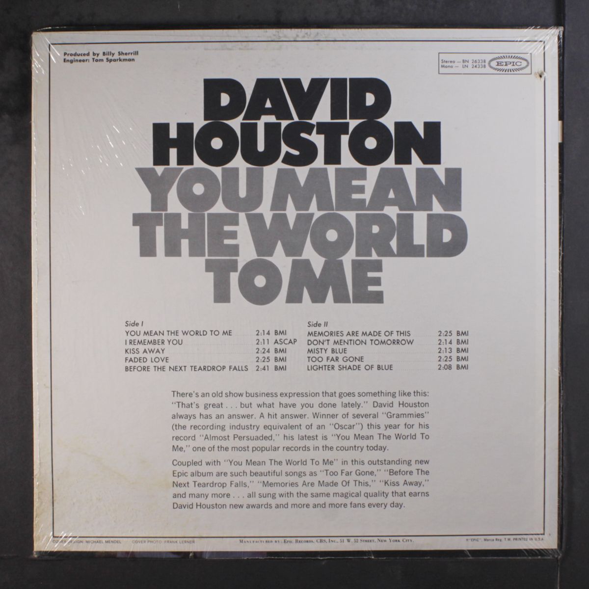 you mean the world to me by DAVID HOUSTON