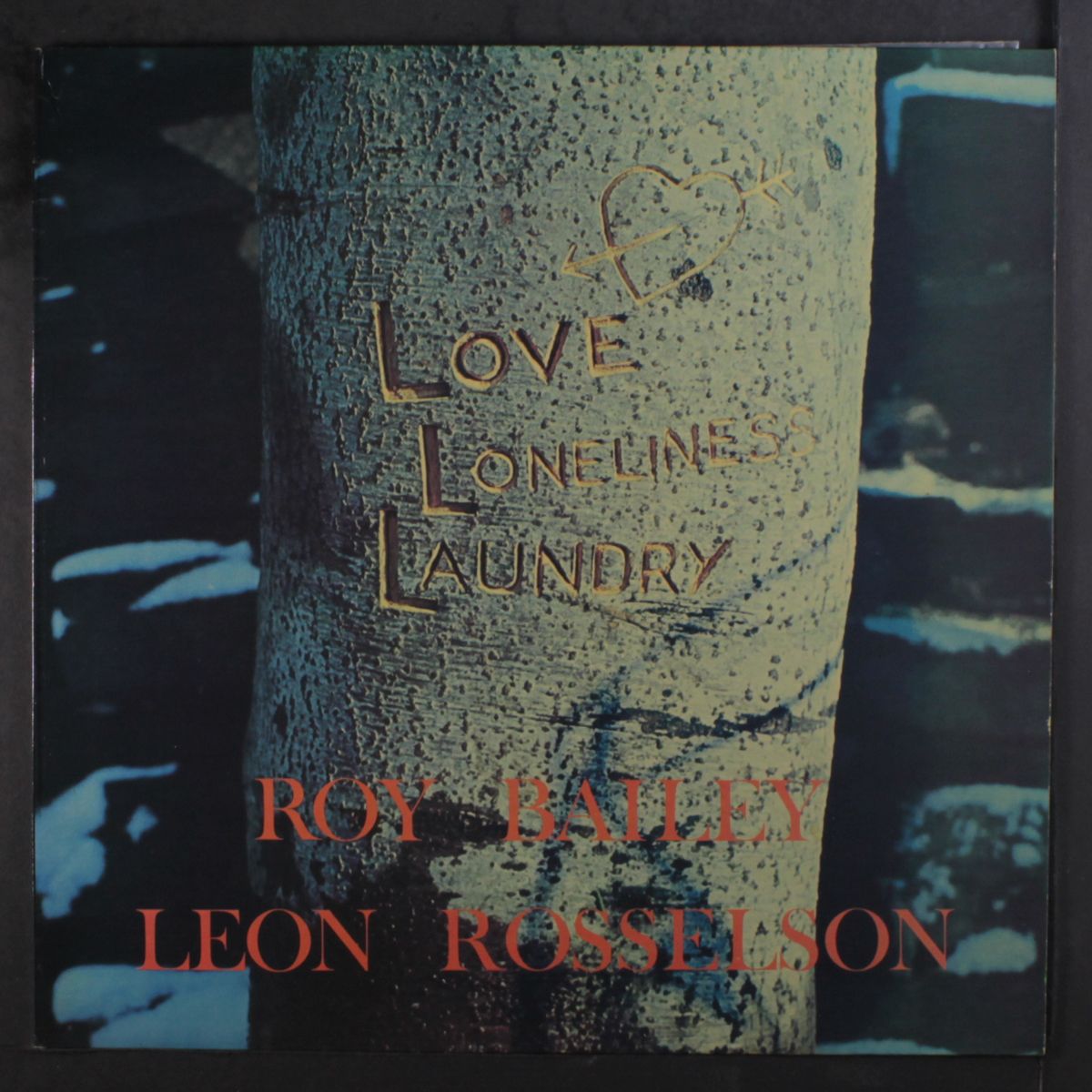 love, lonliness and laundry by ROY BAILEY & LEON ROSSELSON