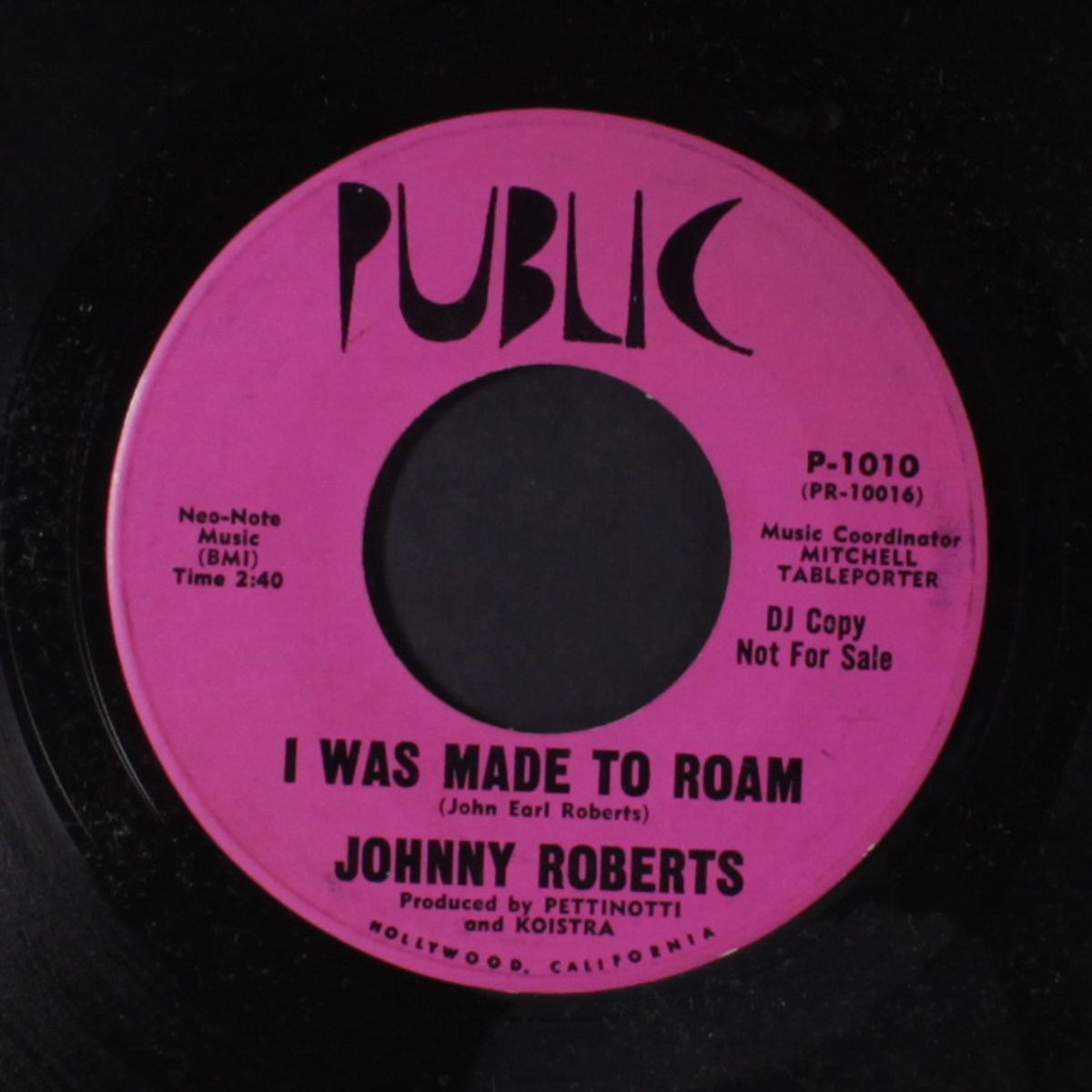i was made to roam by JOHNNY ROBERTS