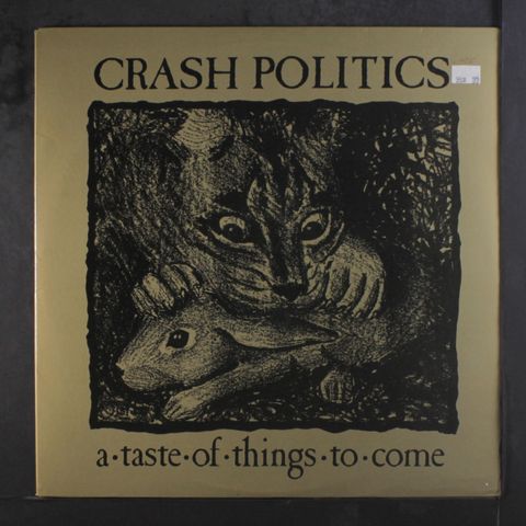 CRASH POLITICS