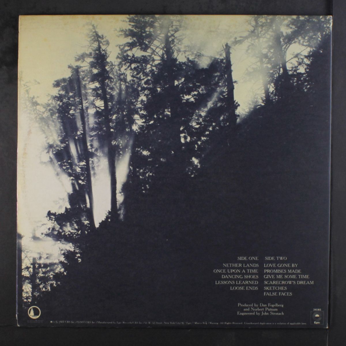 nether lands by DAN FOGELBERG
