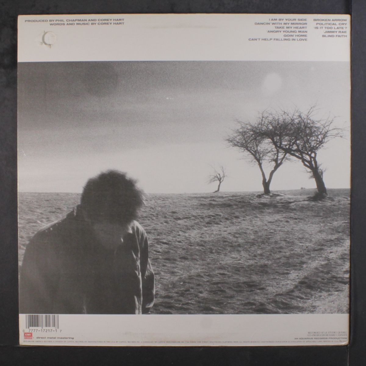 fields of fire by COREY HART