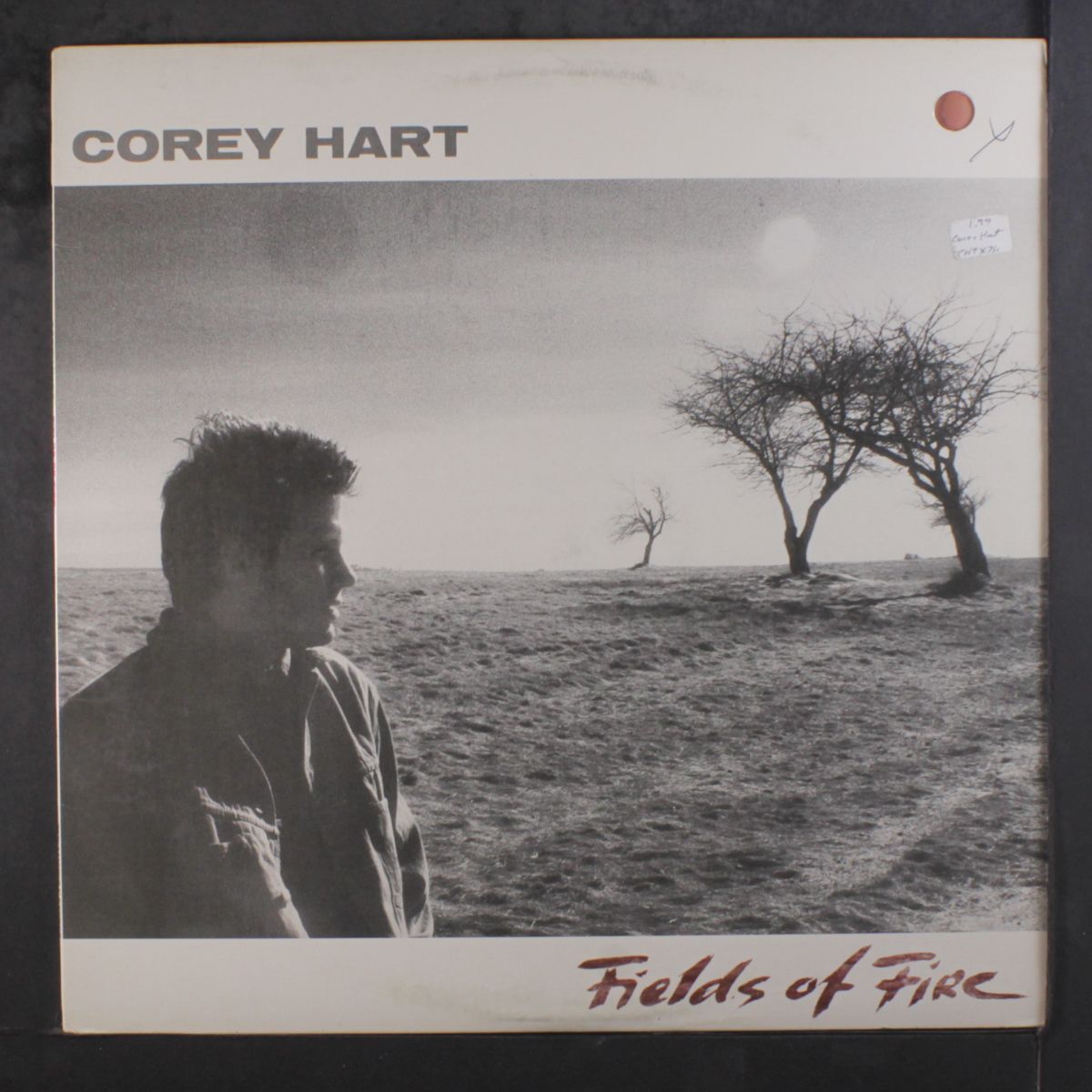 fields of fire by COREY HART