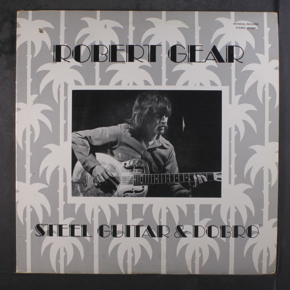 steel guitar & dobro by ROBERT GEAR
