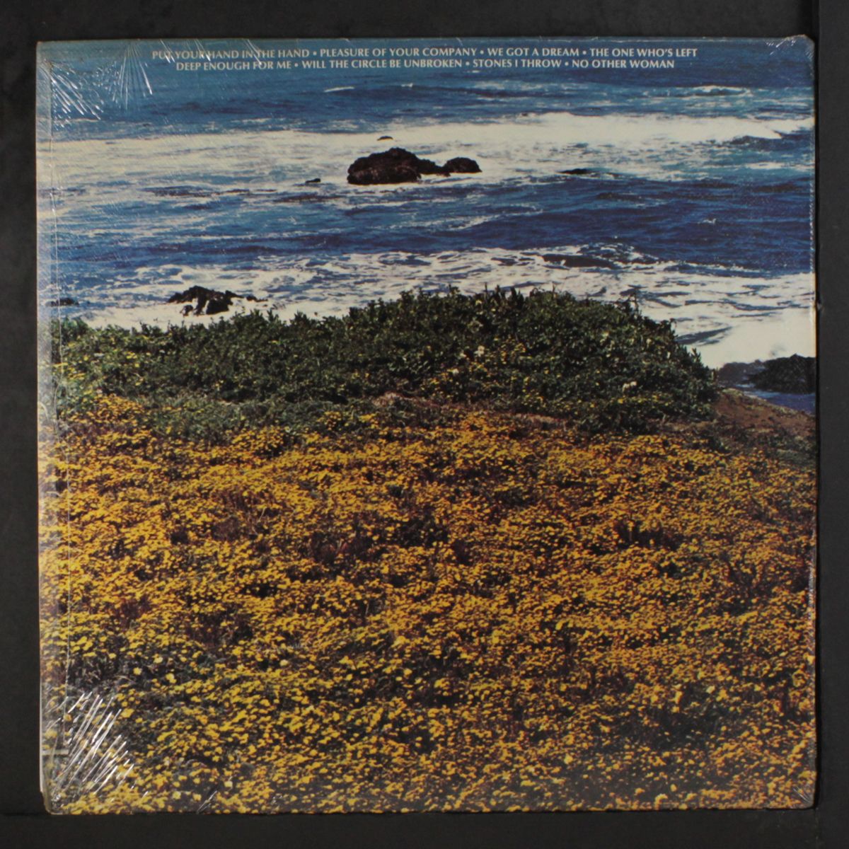 put your hand in the hand by OCEAN