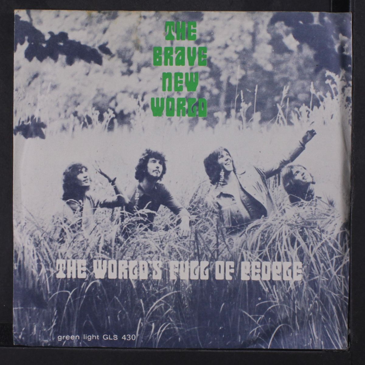 the world's full of people / instro by BRAVE NEW WORLD