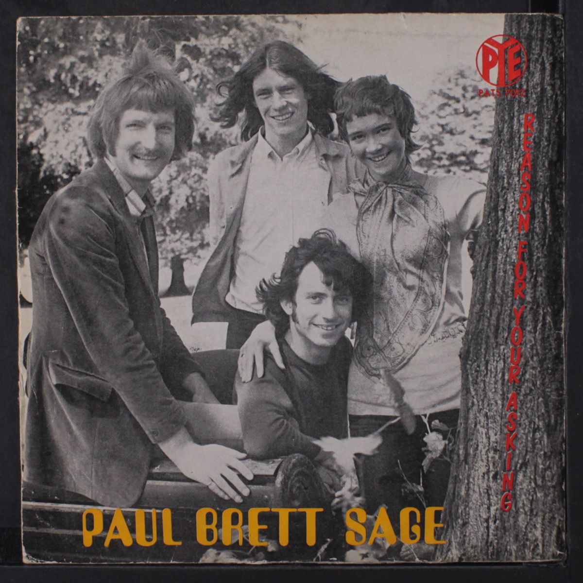 reason for your asking / the sun died by PAUL BRETT SAGE