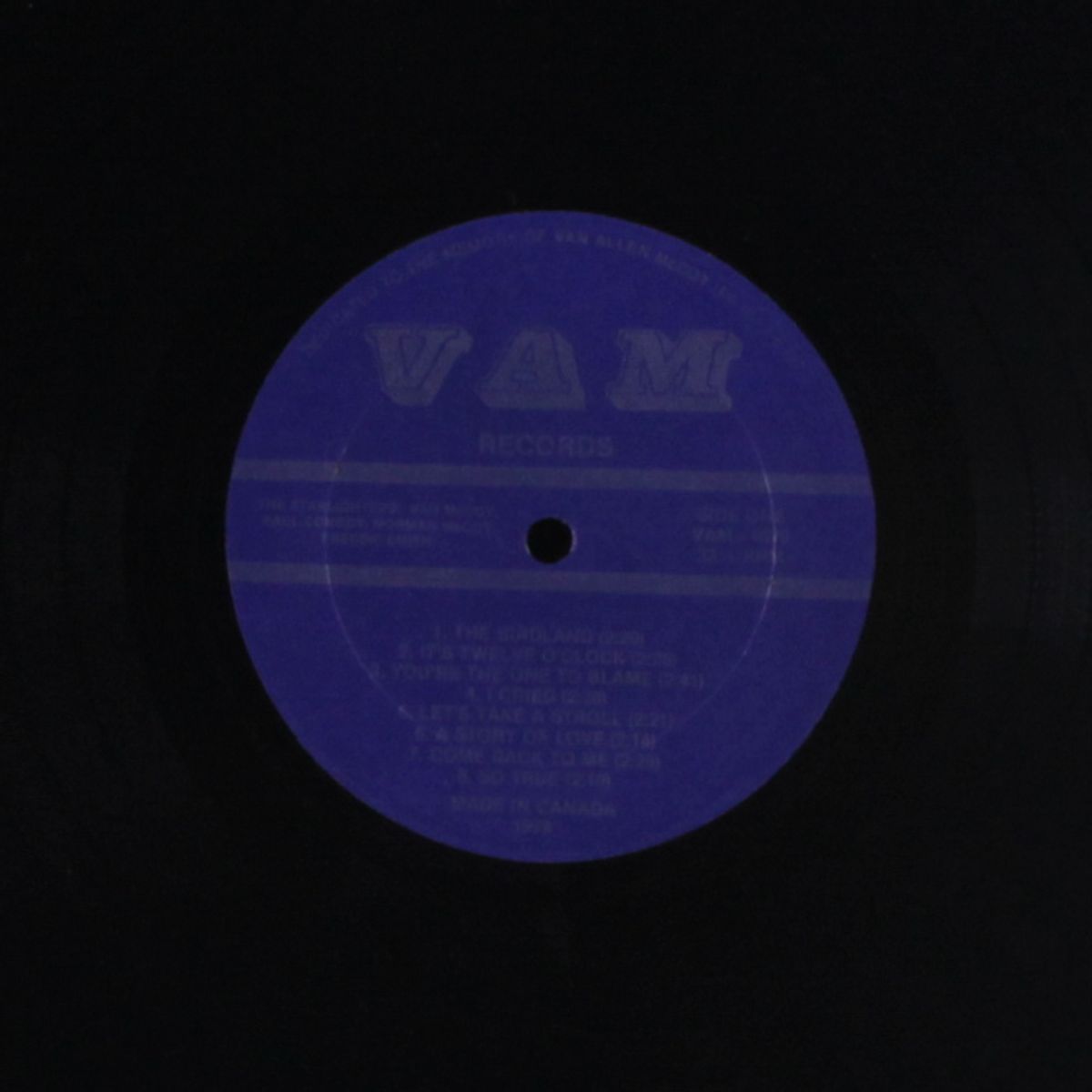 dedicated to the memory of van allen mccoy by VAN MCCOY