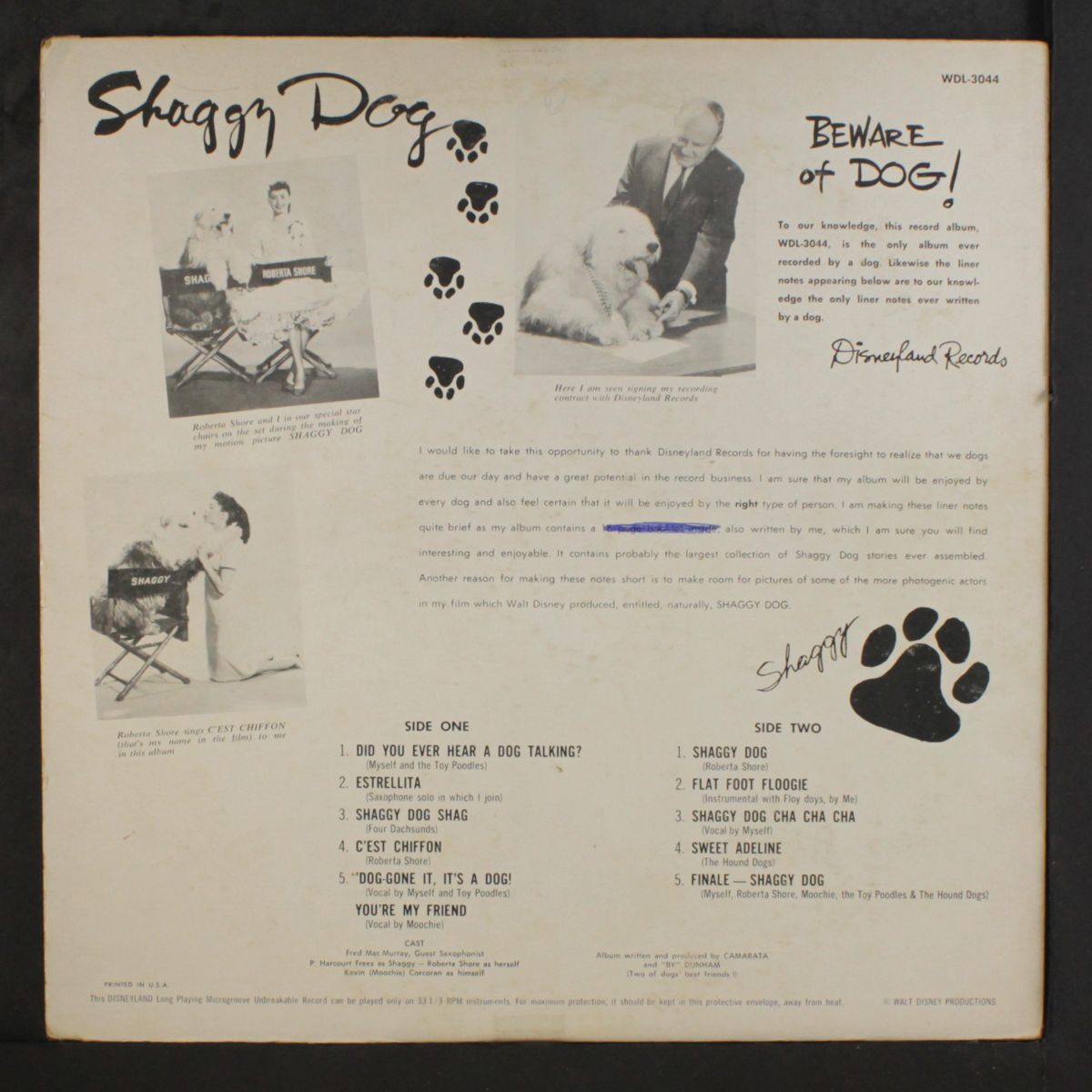 shaggy dog by SOUNDTRACK