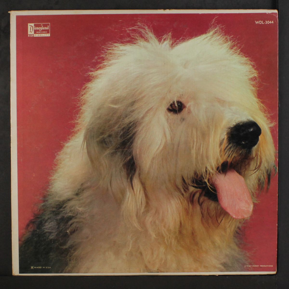 shaggy dog by SOUNDTRACK