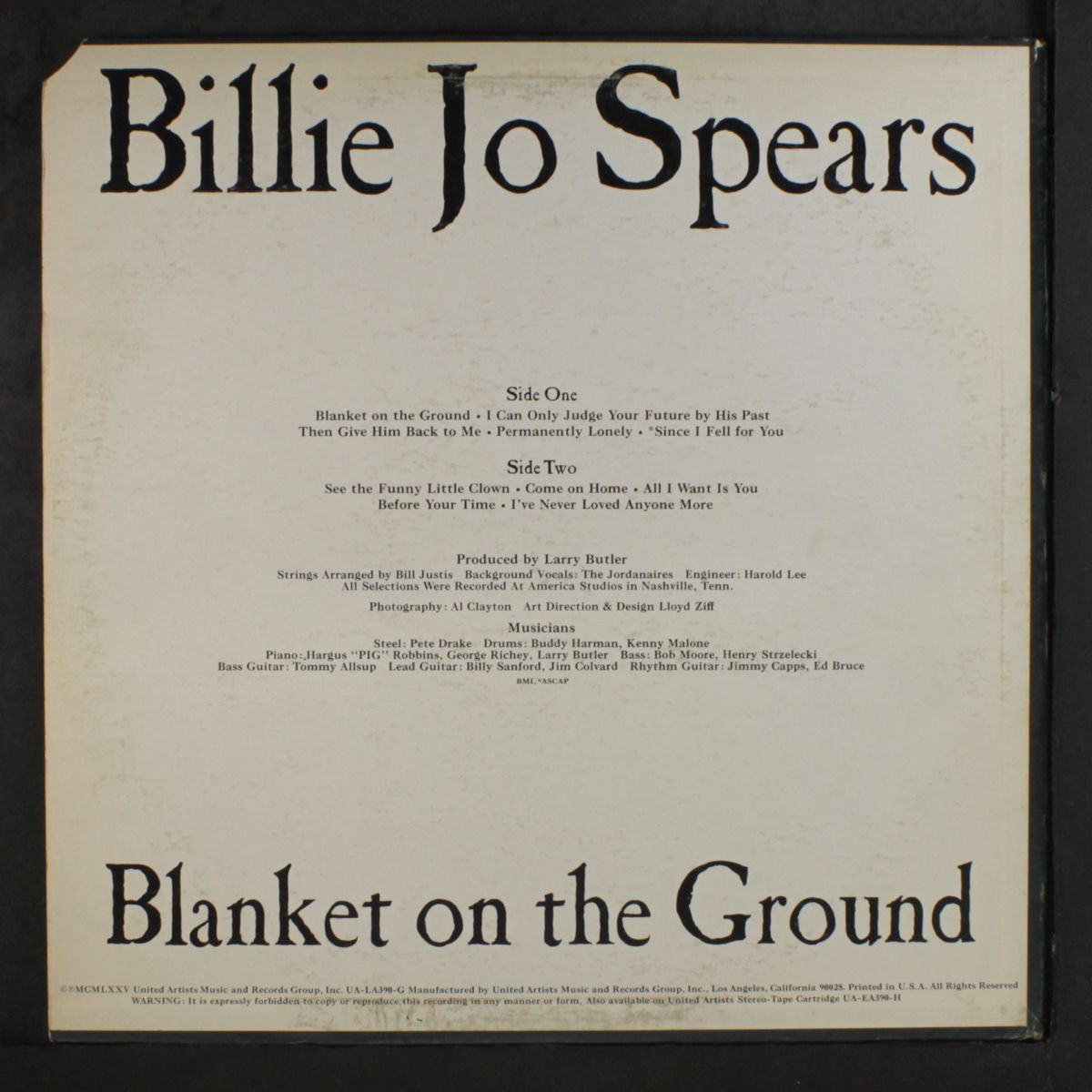 blanket on the ground by BILLIE JO SPEARS