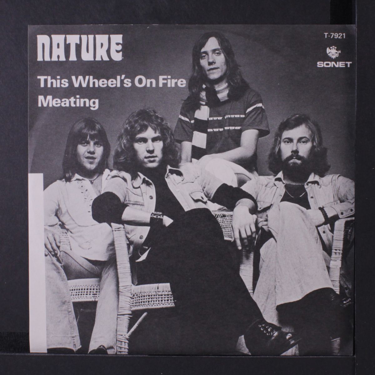 this wheel\xc3\xa2\xe2\x82\xac\xe2\x84\xa2s on fire / meating by NATURE