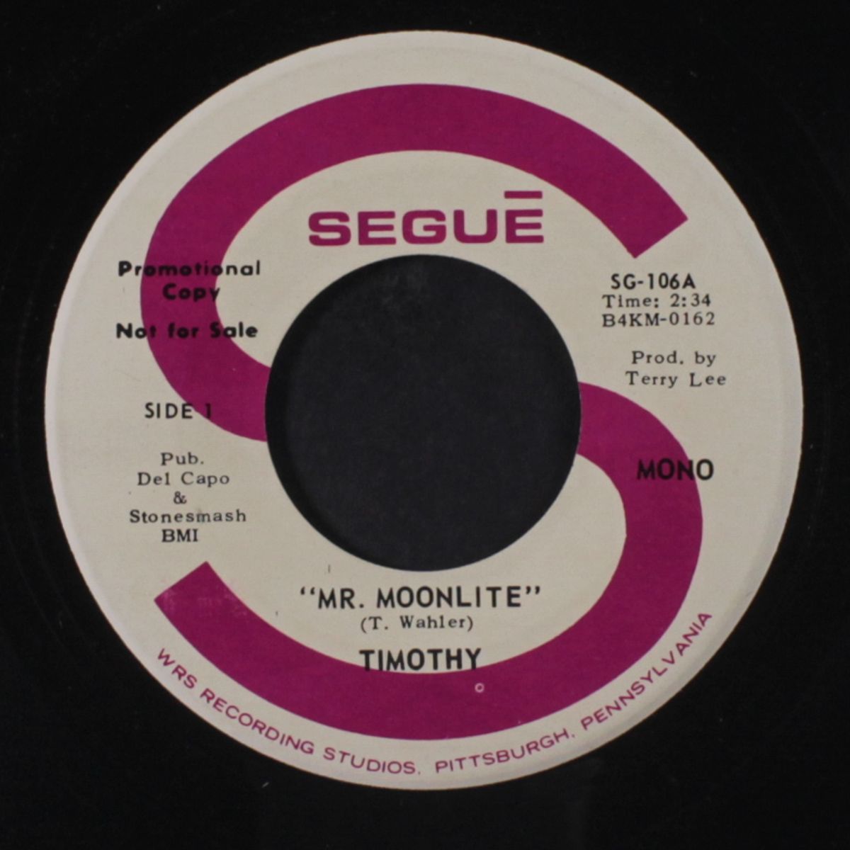 mr. moonlight / mono by TIMOTHY