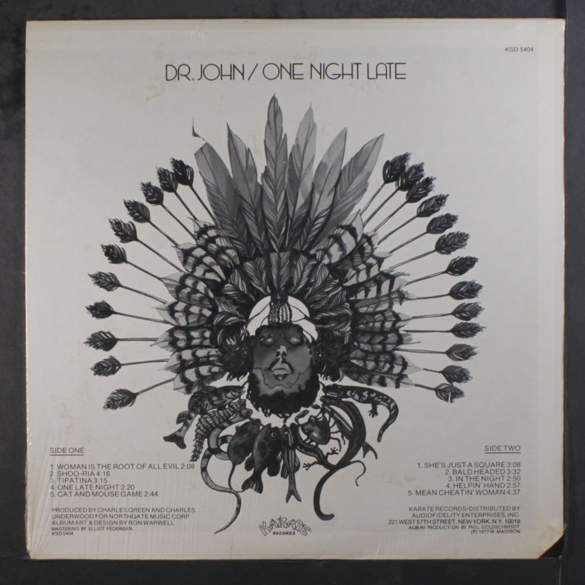 one night late by DR. JOHN
