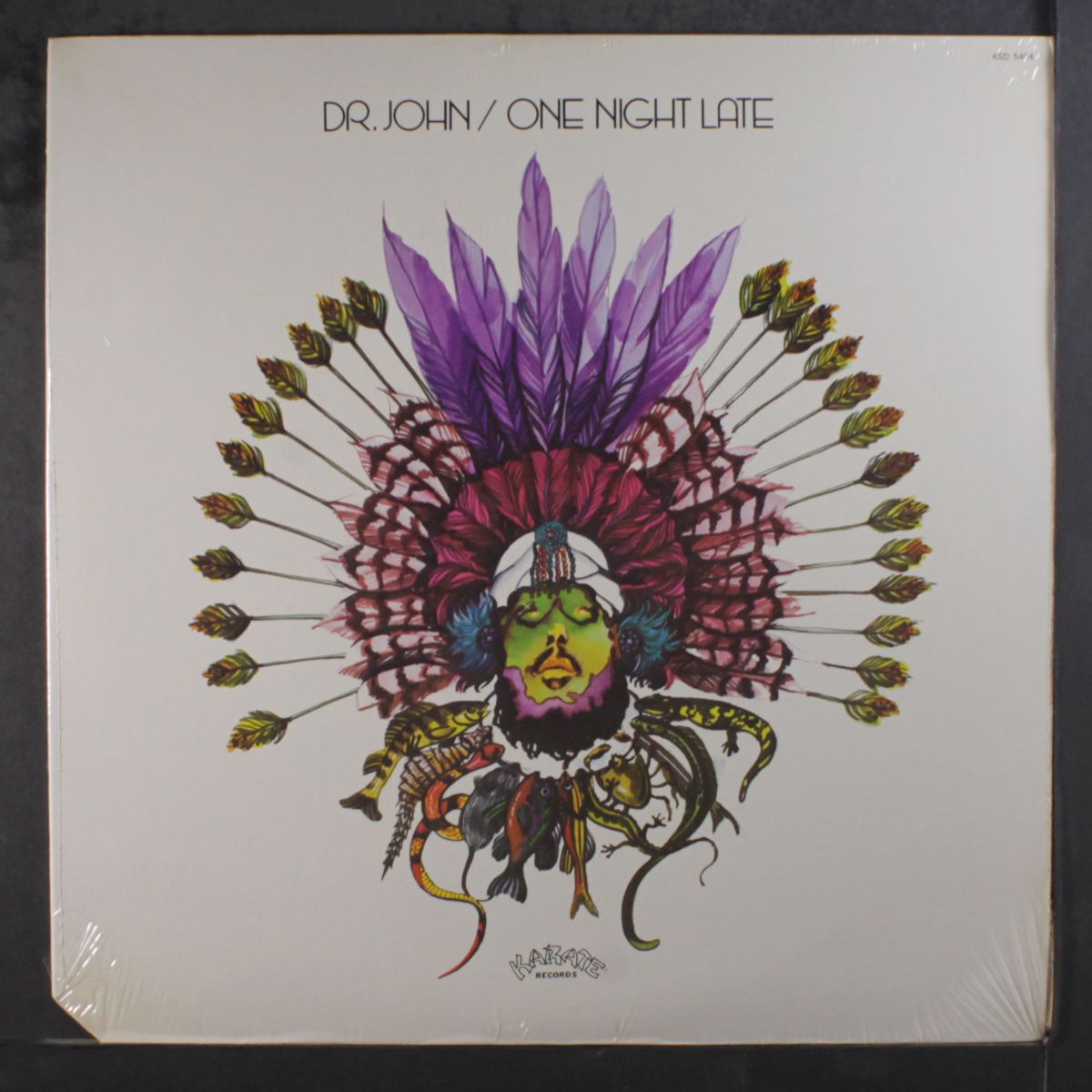 one night late by DR. JOHN