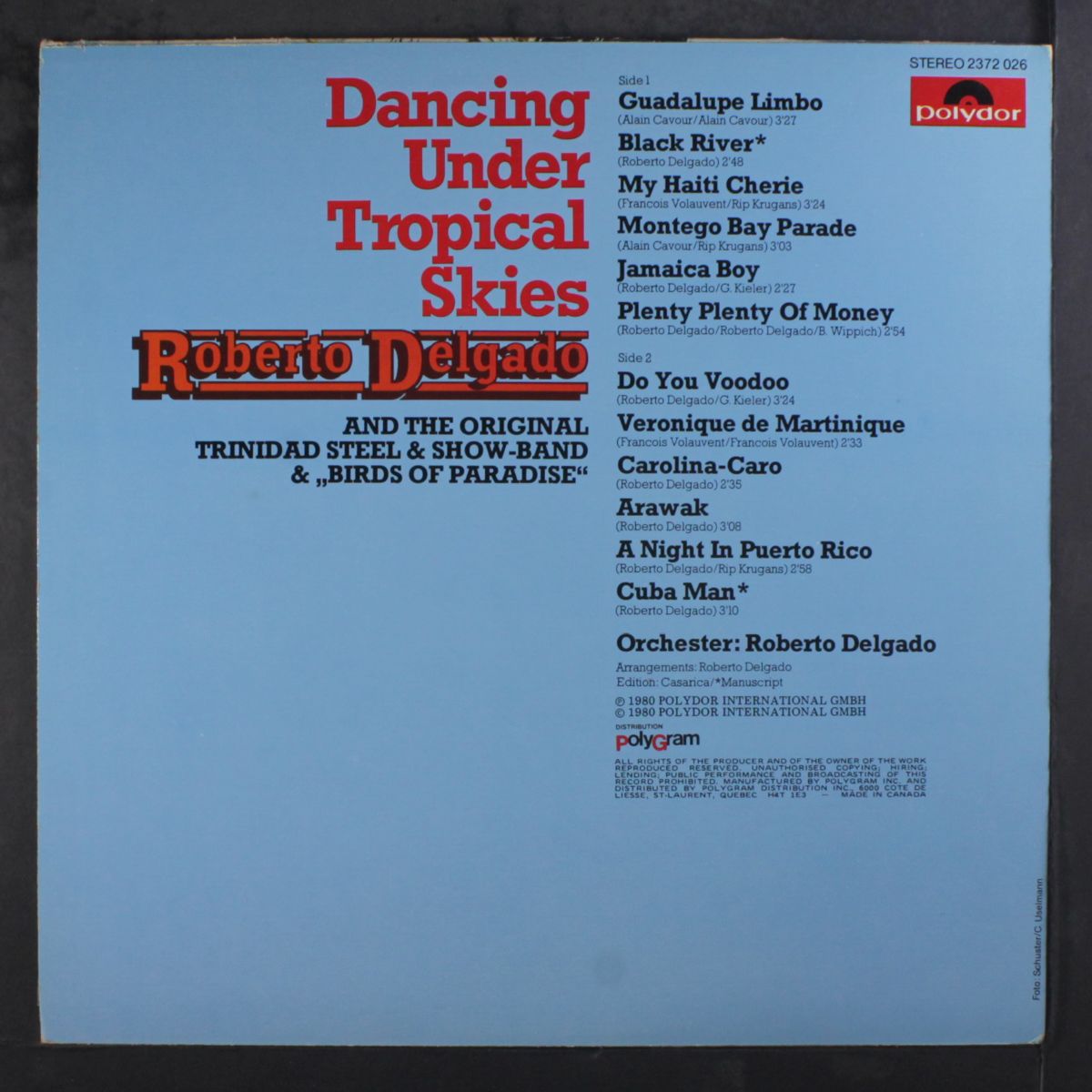 dancing under tropical skies by ROBERTO DELGADO