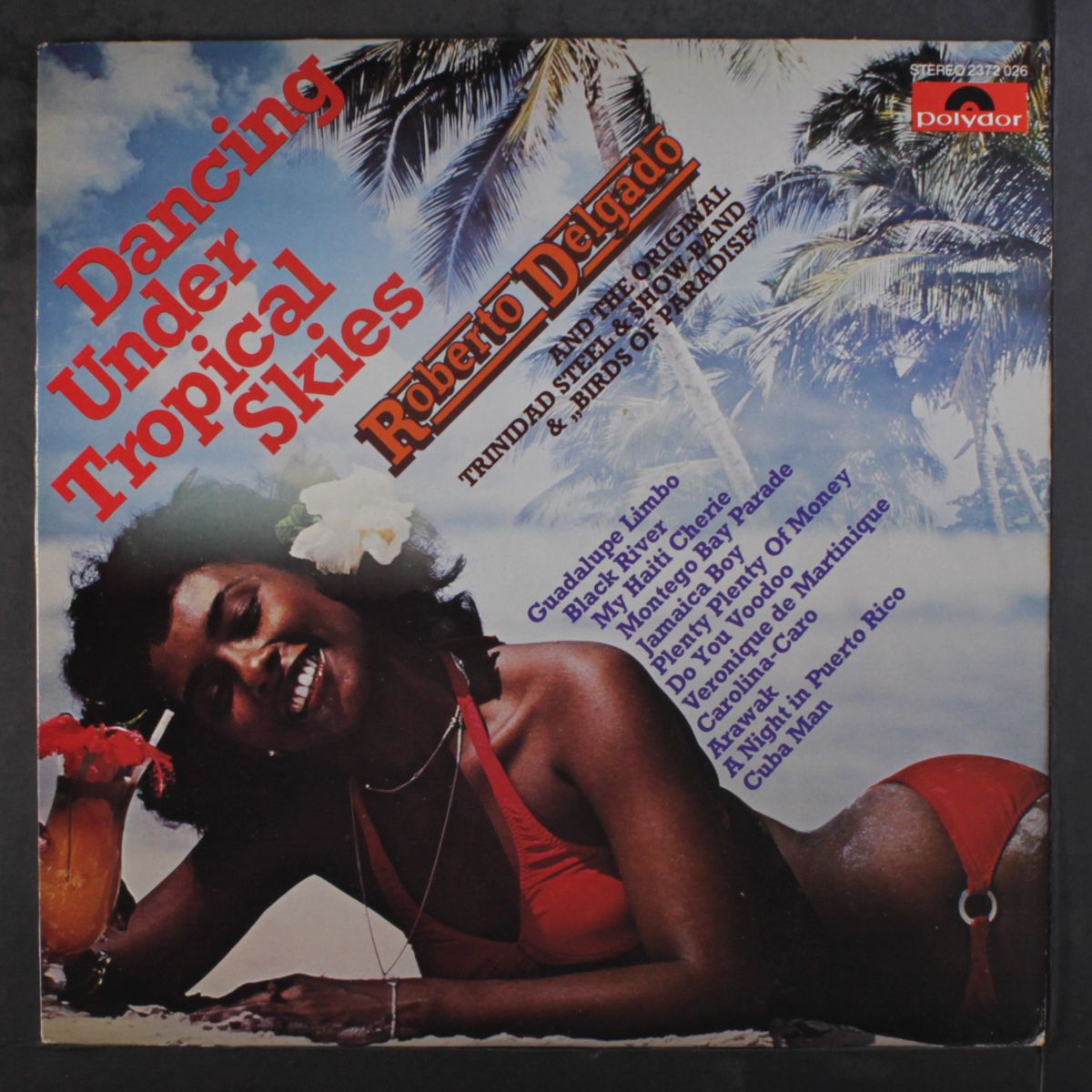 dancing under tropical skies by ROBERTO DELGADO