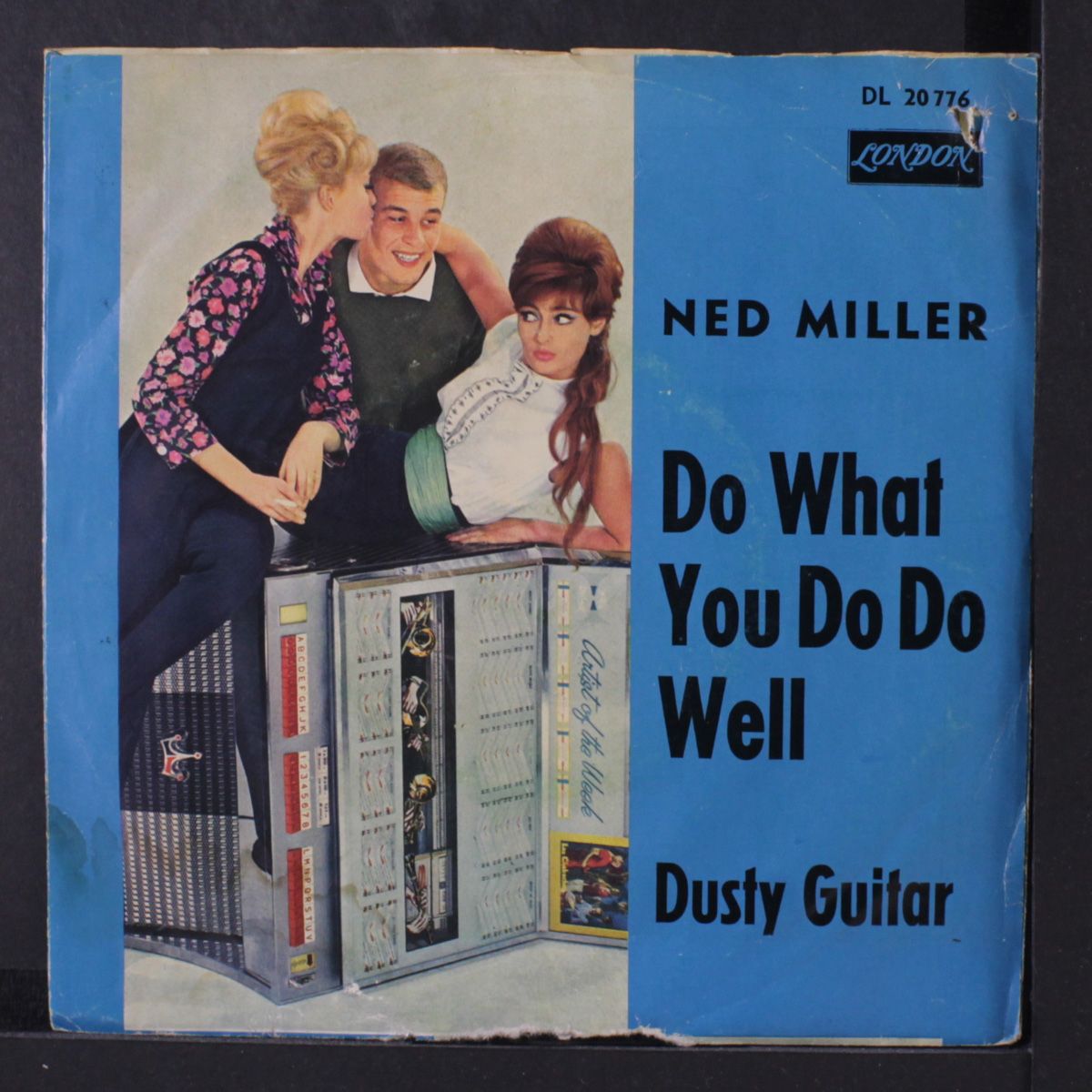 do what you do well / dusty guitar by NED MILLER