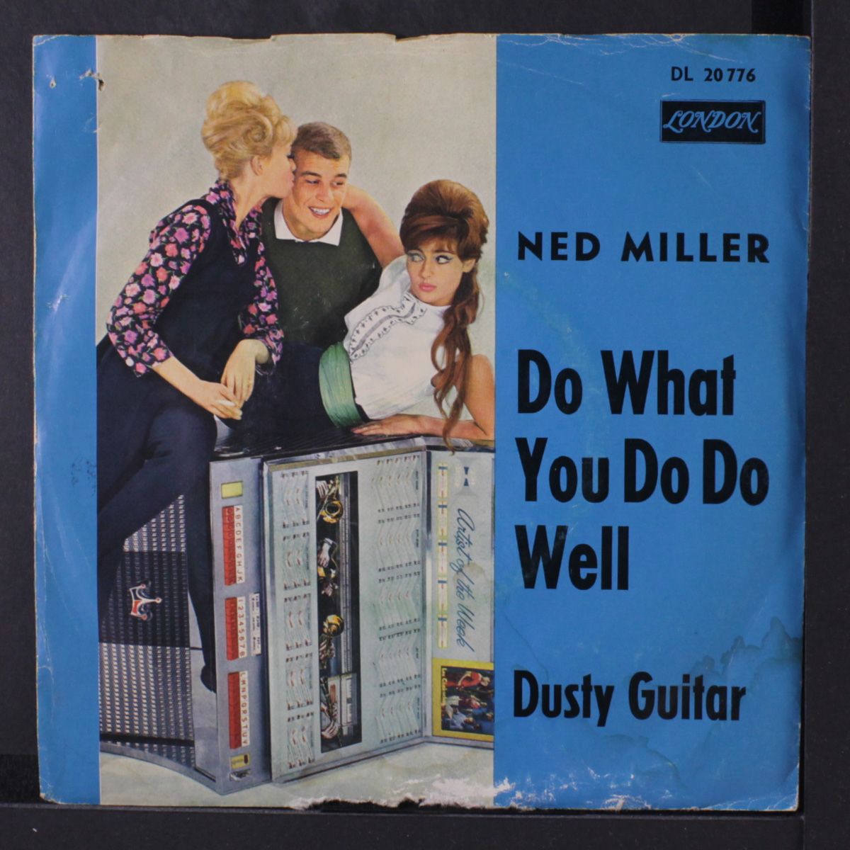 do what you do well / dusty guitar by NED MILLER