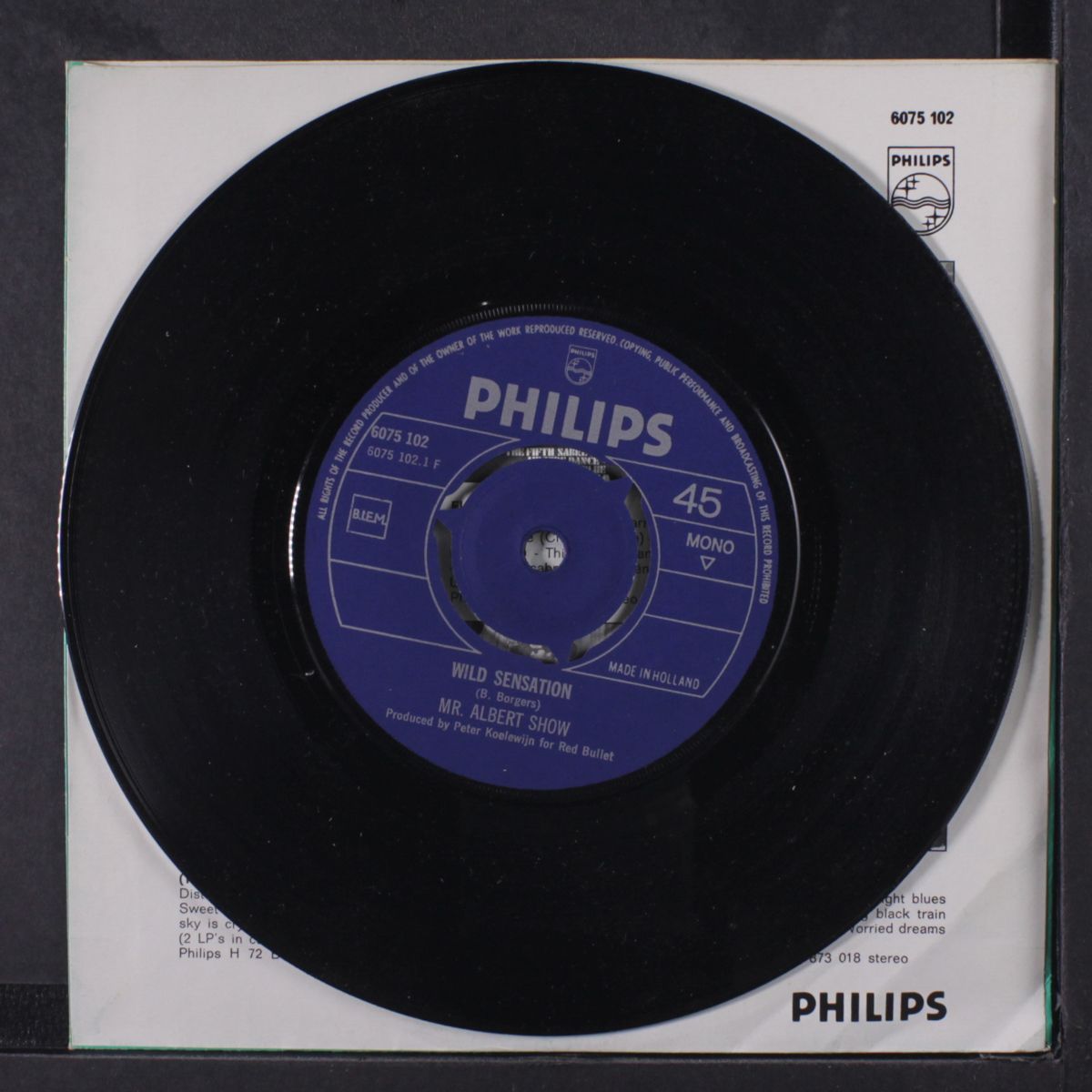 kings of galaxy / wild sensation by MR. ALBERT SHOW
