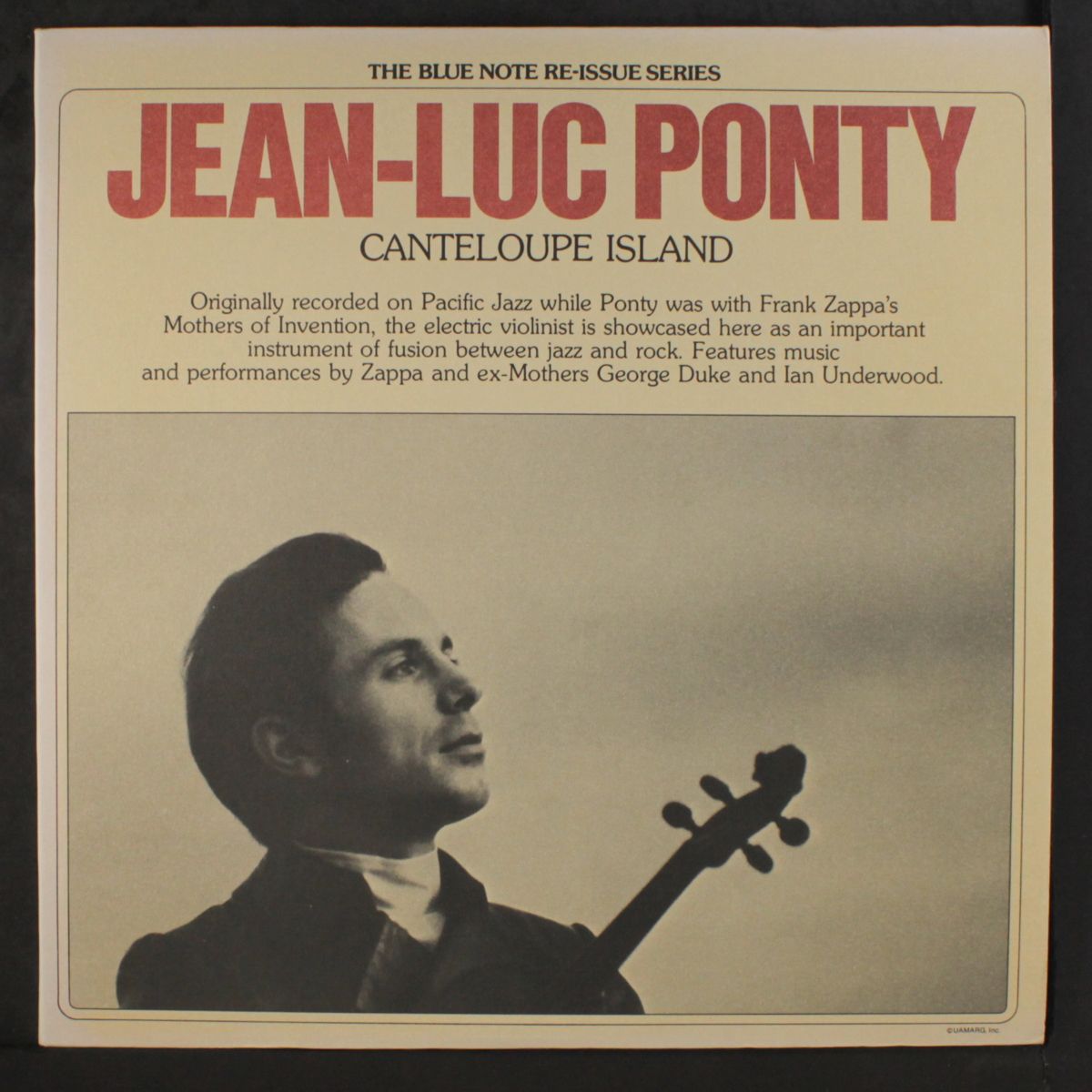 canteloupe island by JEAN-LUC PONTY