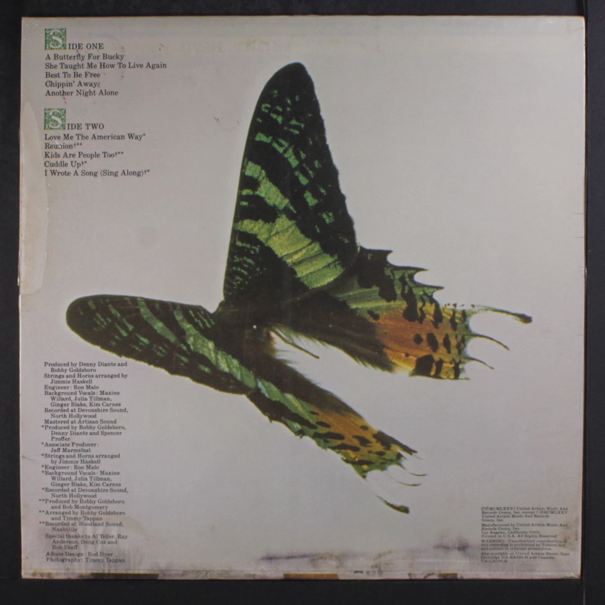 a butterfly for bucky by BOBBY GOLDSBORO